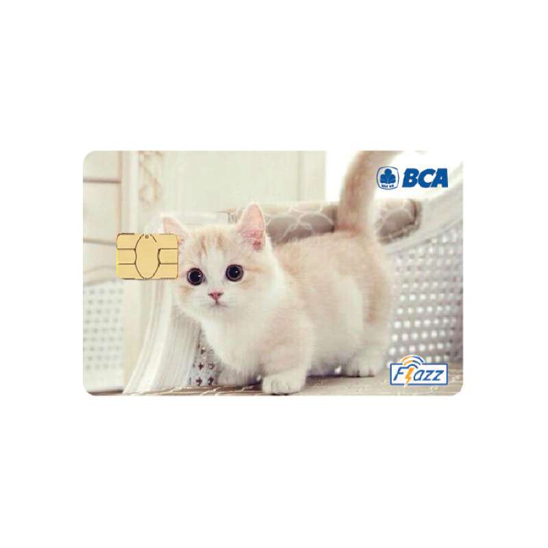 Detail Foto Kucing Kecil Lucu Nomer 39