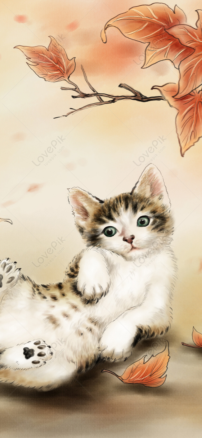 Detail Foto Kucing Lucu Wallpaper Nomer 44