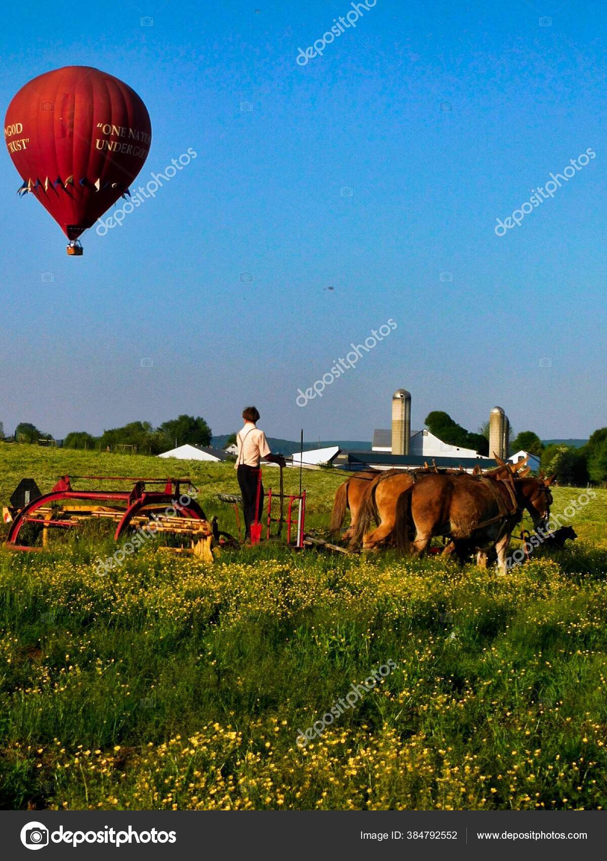 Detail Foto Kuda Gambar Balon Udara Nomer 36