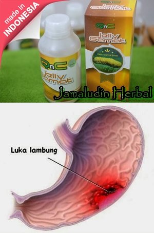 Detail Foto Lambung Luka Nomer 11