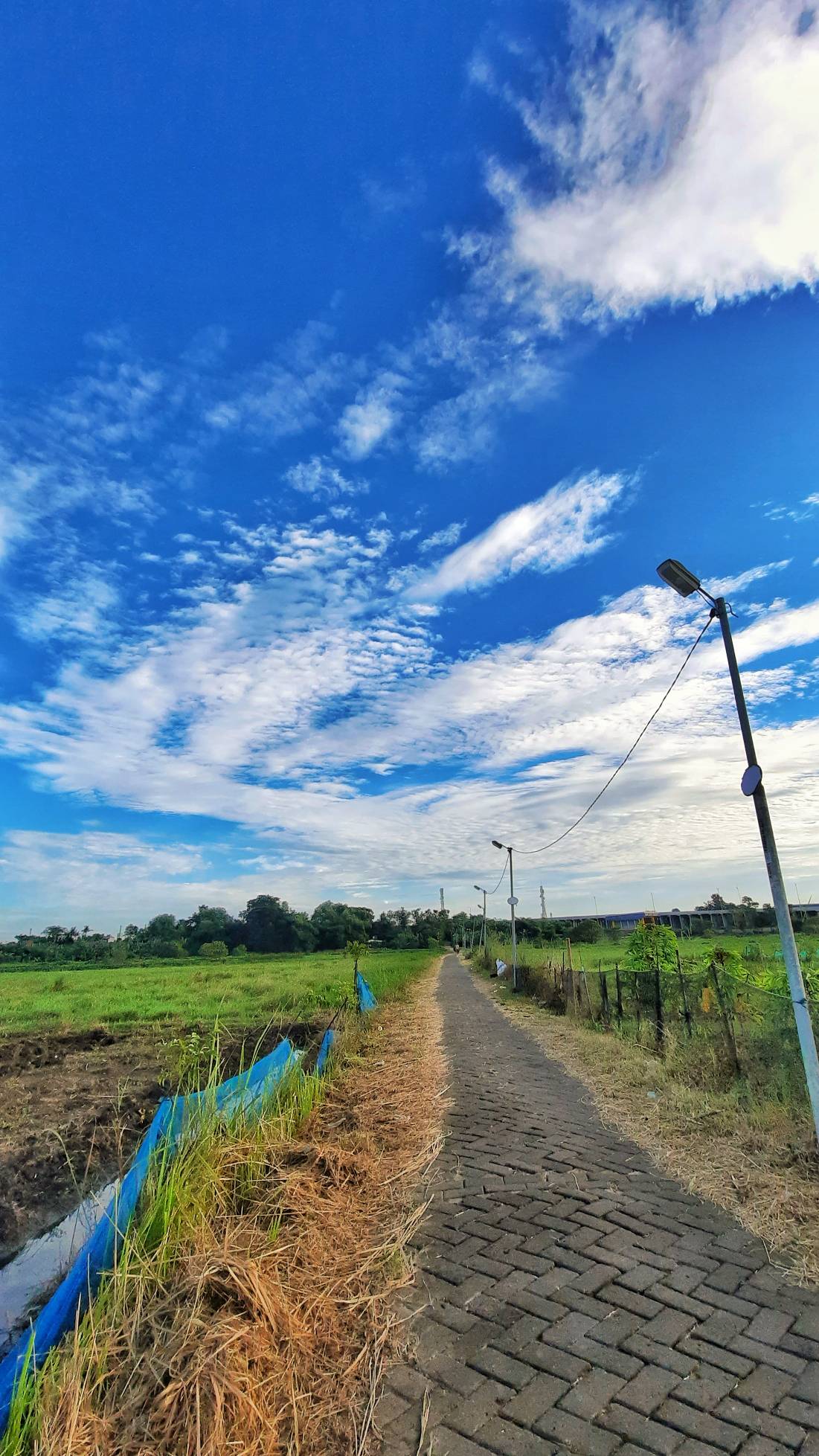 Detail Foto Langit Cerah Nomer 15