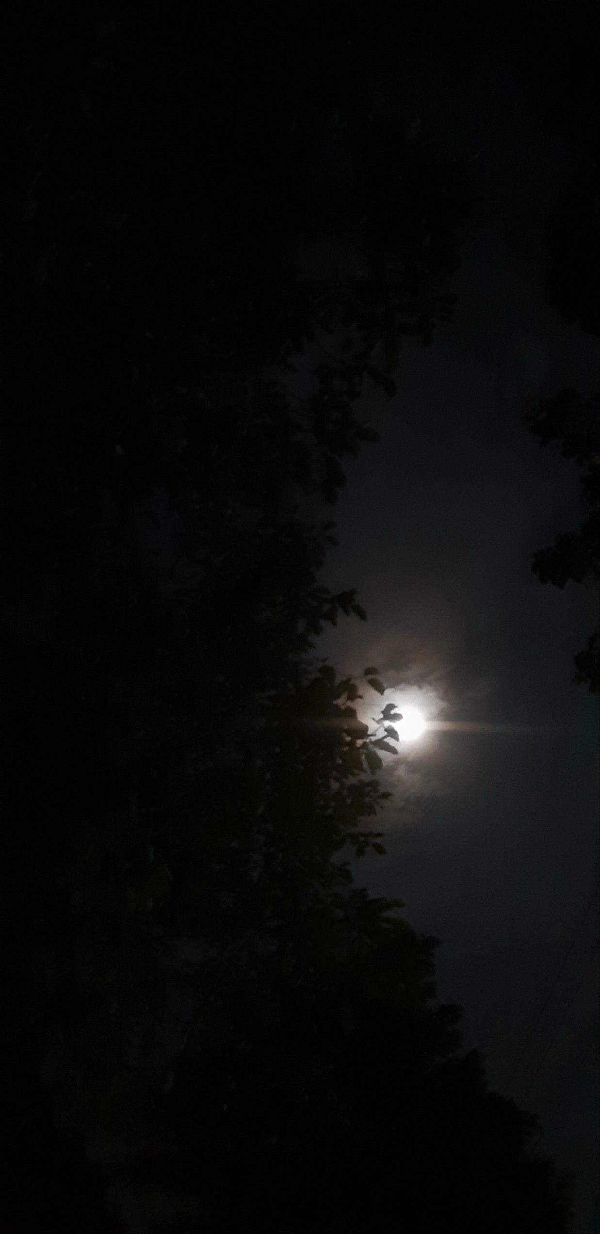 Detail Foto Langit Di Malam Hari Nomer 16