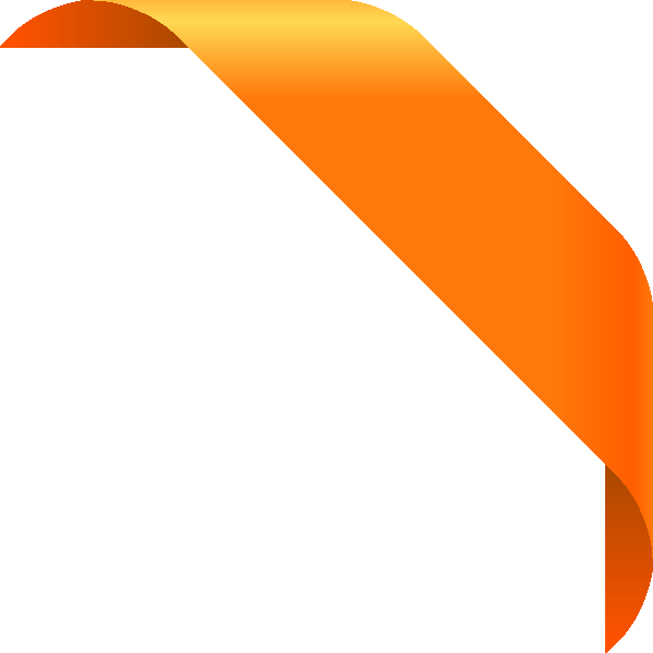 Detail Orange Light Nomer 23