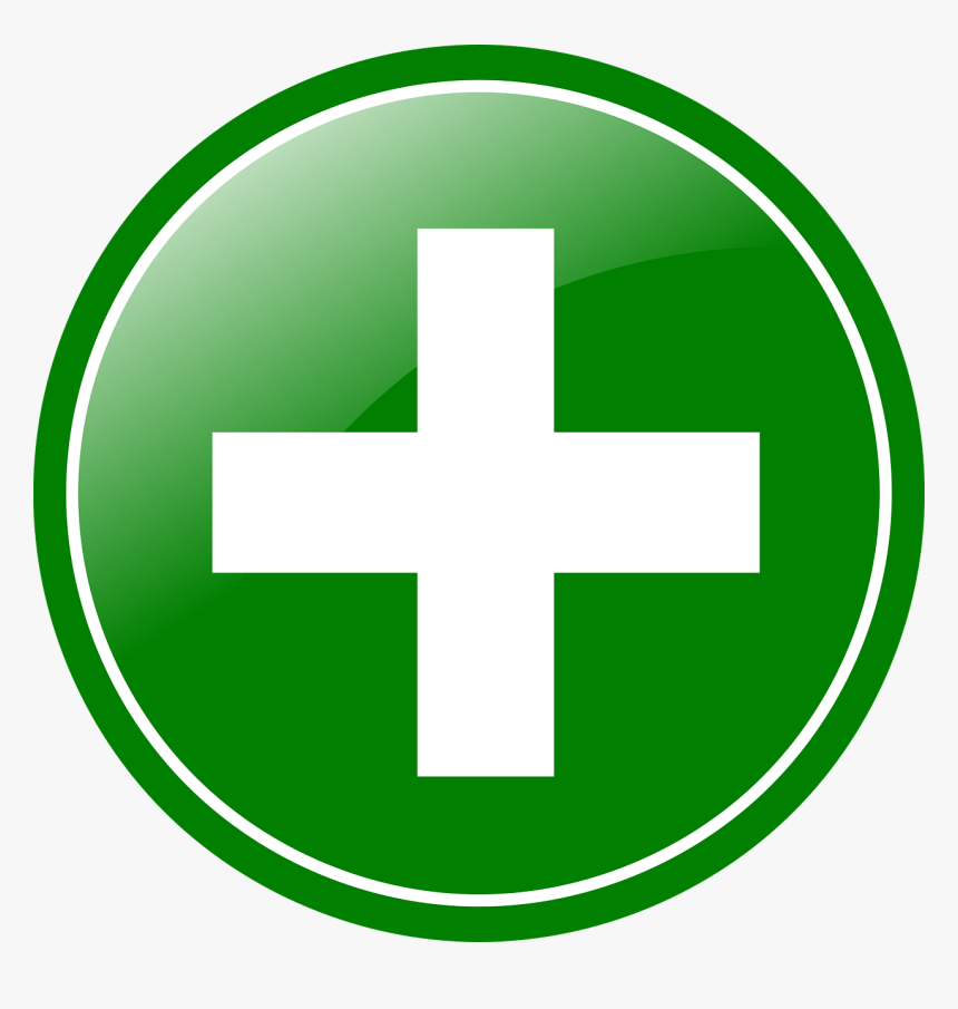 Detail Plus Logo Png Nomer 4