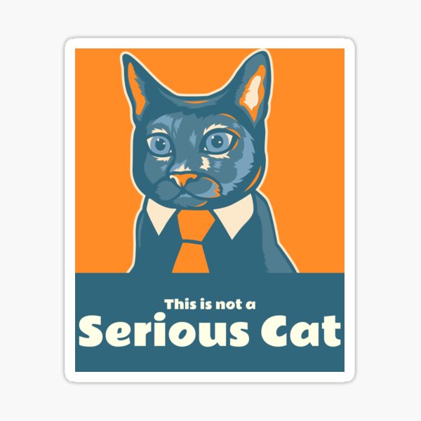 Serious Cat Meme - KibrisPDR