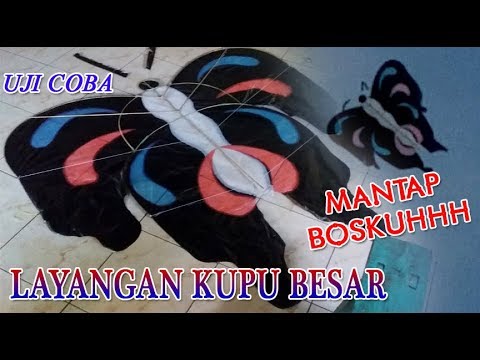 Detail Foto Layangan Kupu Kupu Nomer 37