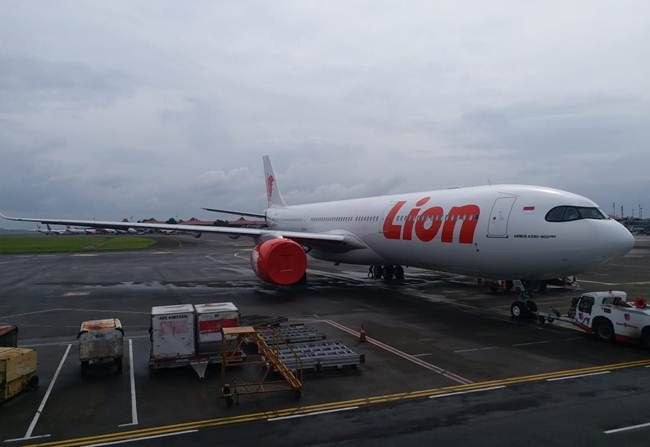 Detail Foto Lion Air Nomer 29