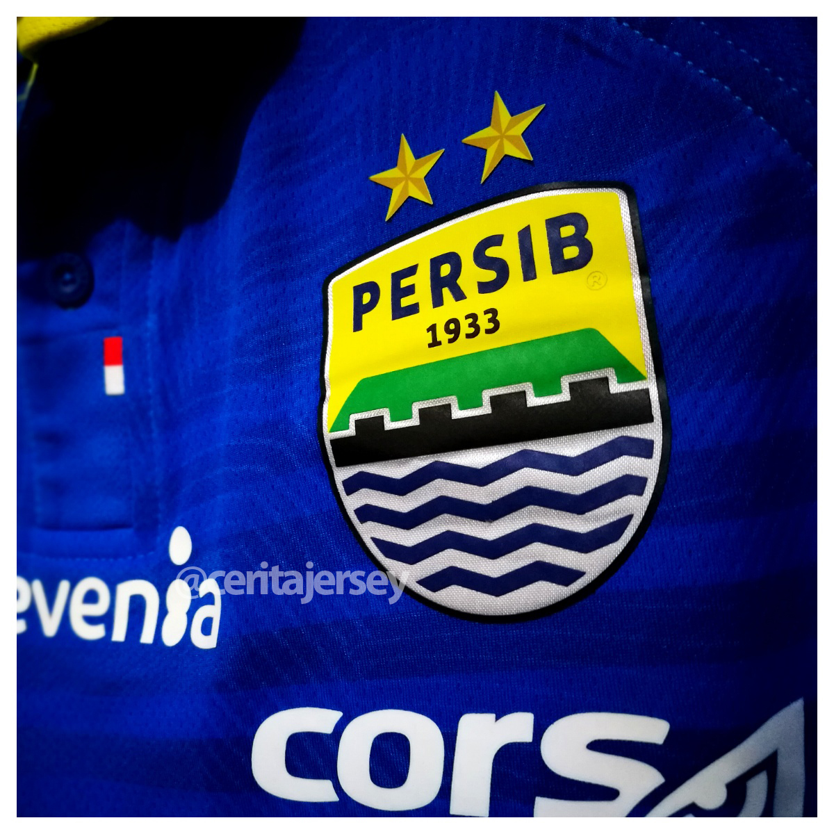 Detail Foto Logo Persib Nomer 45