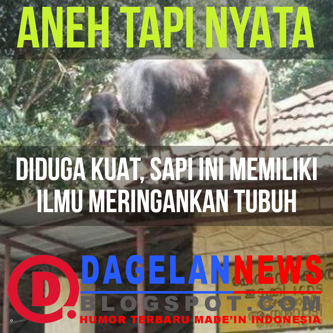 Detail Foto Lucu Aneh Tapi Nyata Nomer 18