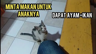 Detail Foto Lucu Aneh Tapi Nyata Nomer 25