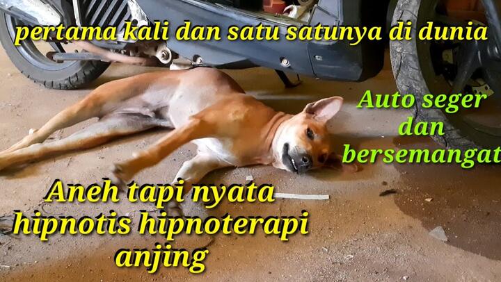 Detail Foto Lucu Aneh Tapi Nyata Nomer 29