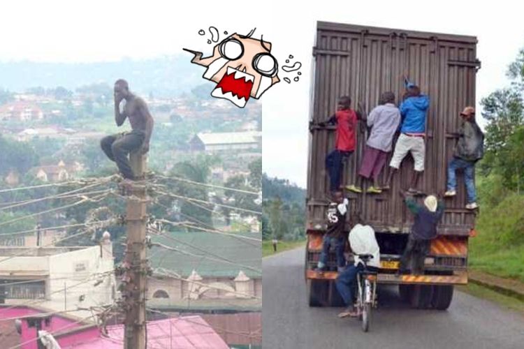 Detail Foto Lucu Aneh Tapi Nyata Nomer 43