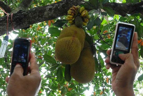 Detail Foto Lucu Aneh Tapi Nyata Nomer 6
