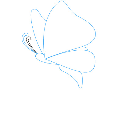 Detail Schmetterling Einfach Zeichnen Nomer 16