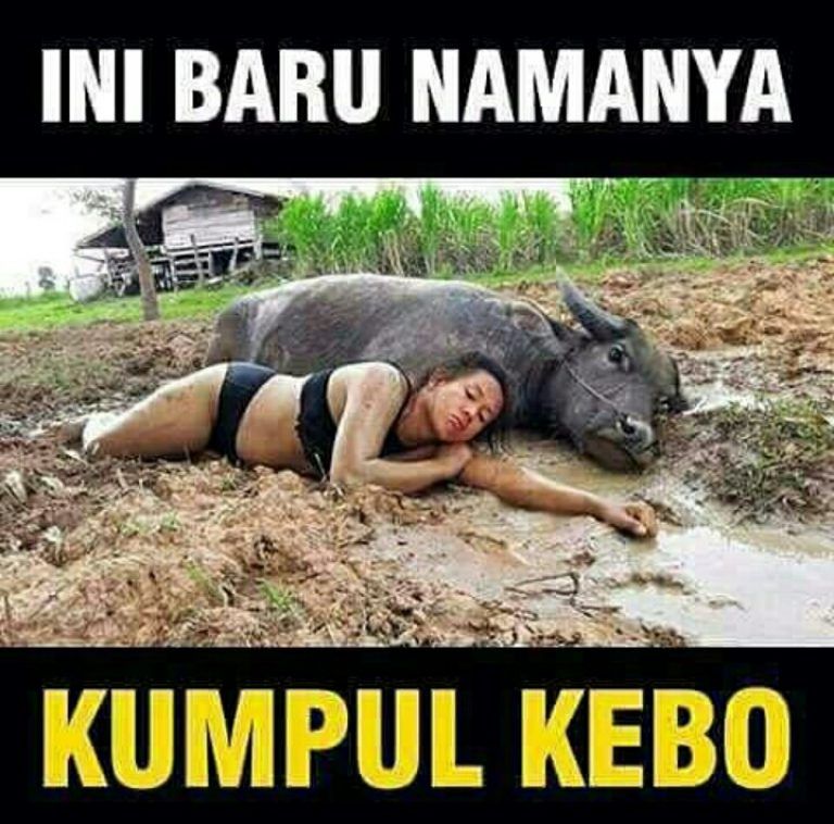 Foto Lucu Bikin Ngakak - KibrisPDR