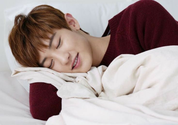 Detail Foto Lucu Exo Saat Tidur Nomer 11