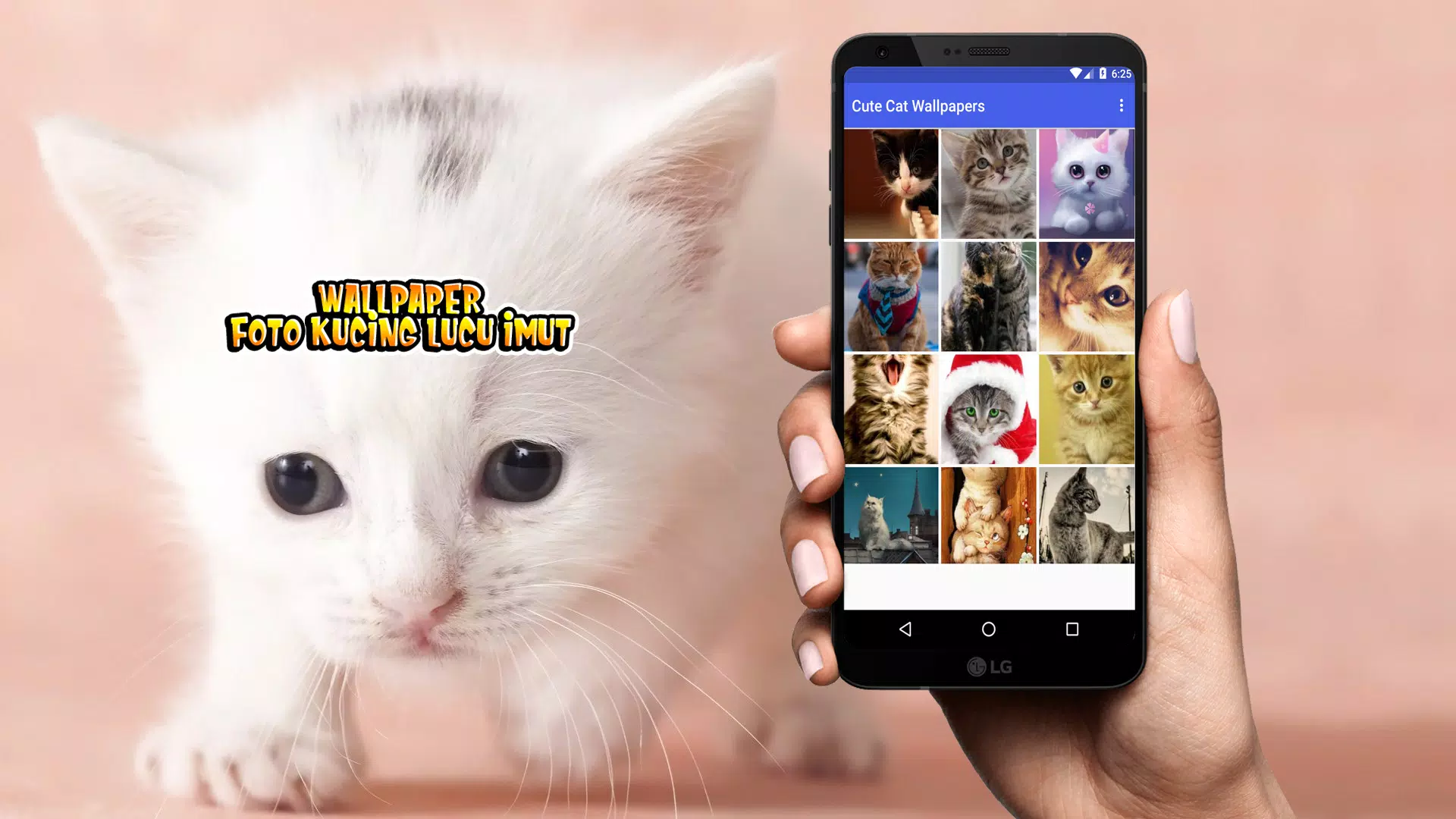 Detail Foto2 Kucing Lucu Nomer 28