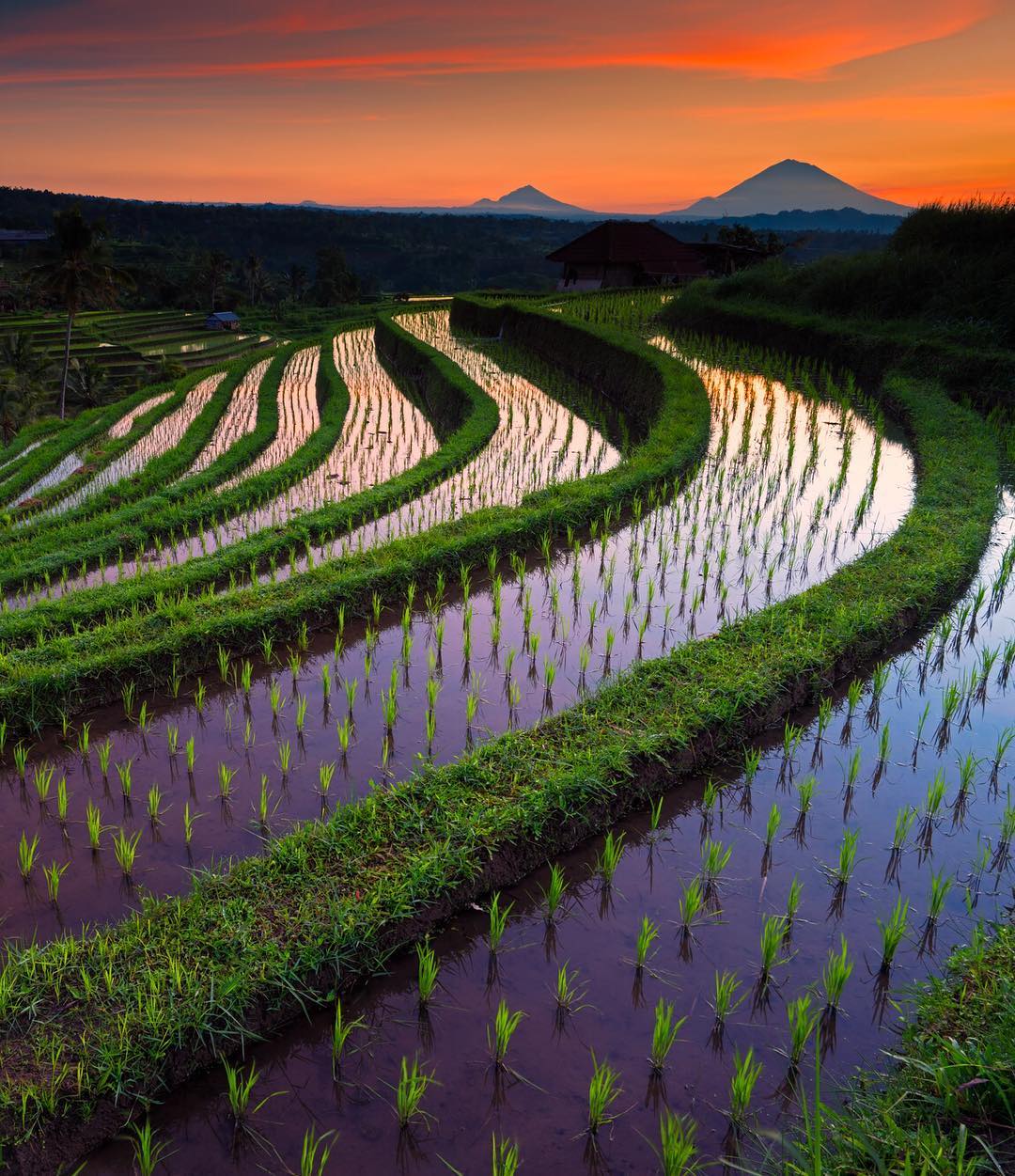 Detail Fotografer Pemandangan Alam Nomer 31