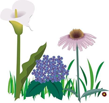 Gras Bunt - KibrisPDR
