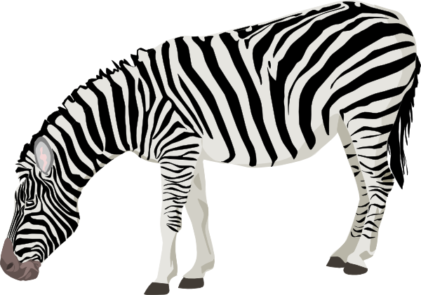 Detail Zebra Head Clipart Nomer 15