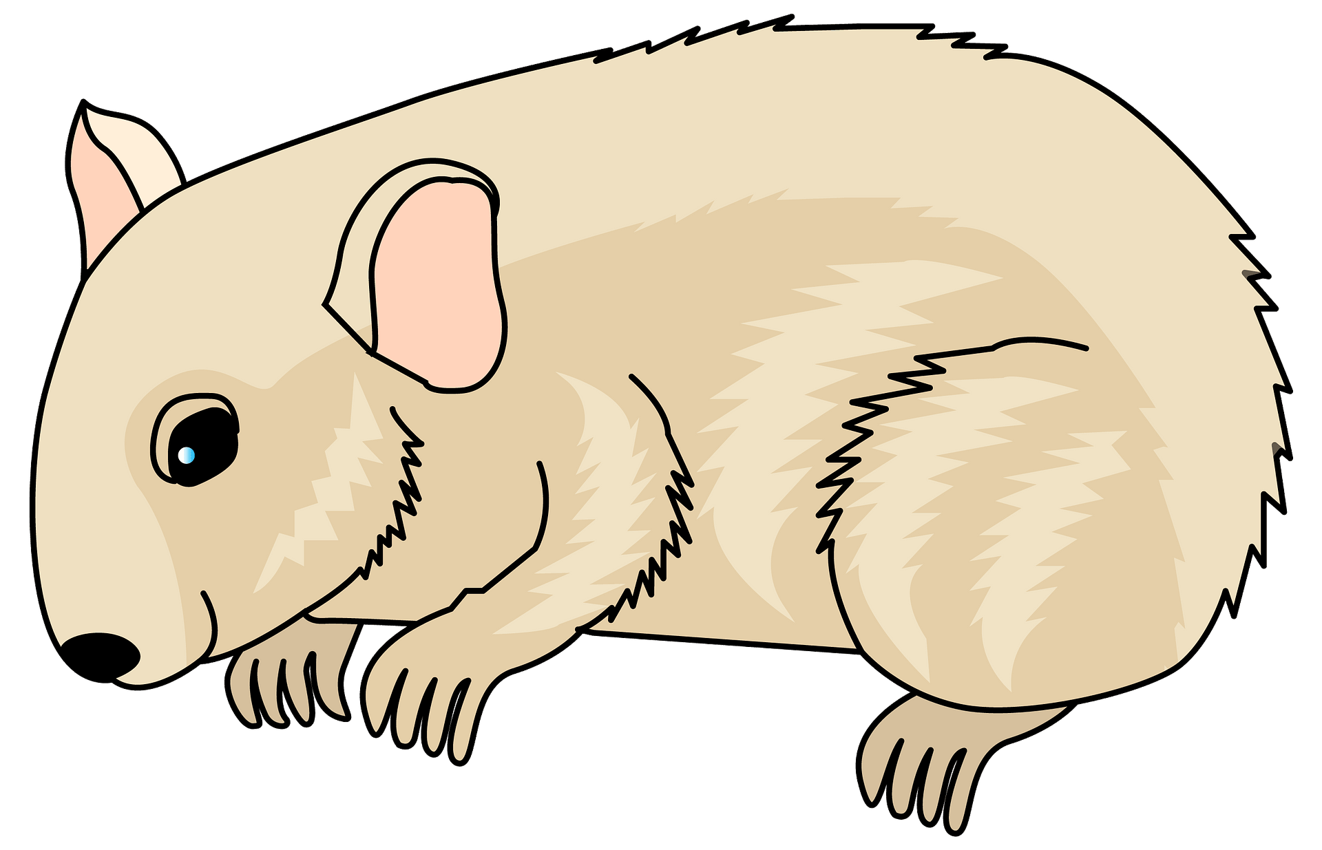 Detail Bilder Hamster Nomer 15