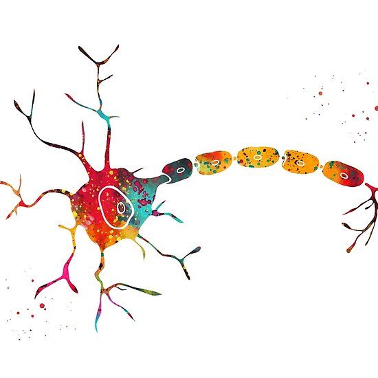 Brain Cell Art - KibrisPDR