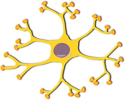 Detail Brain Cell Art Nomer 9