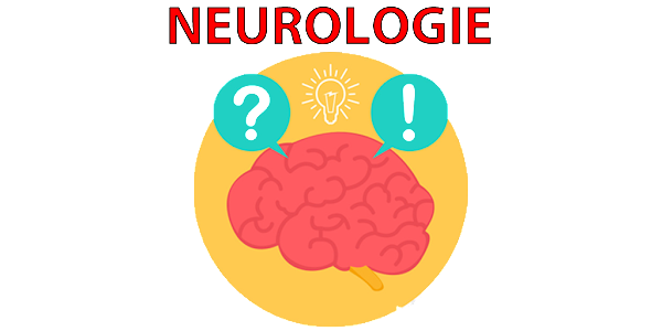 Detail Neurologie Bilder Nomer 13