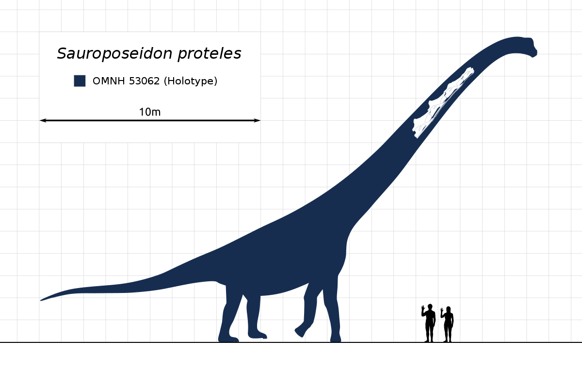 Detail Brachiosaurus Nahrung Nomer 7