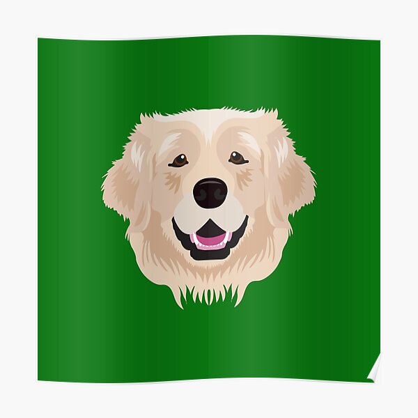 Detail Golden Retriever Frisur Nomer 10