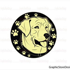 Detail Golden Retriever Frisur Nomer 4