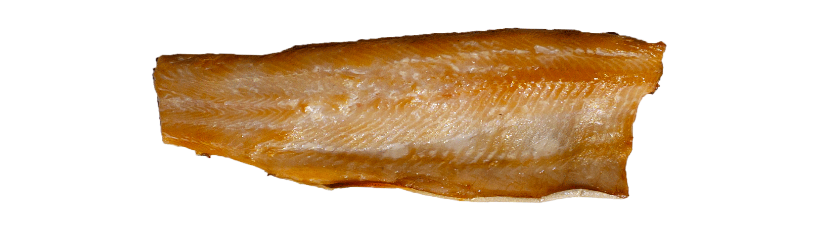 Detail Somon Fisch Nomer 13