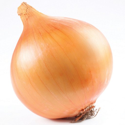 Detail Aldi Allium Nomer 21