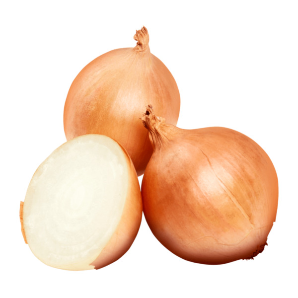 Detail Aldi Allium Nomer 3