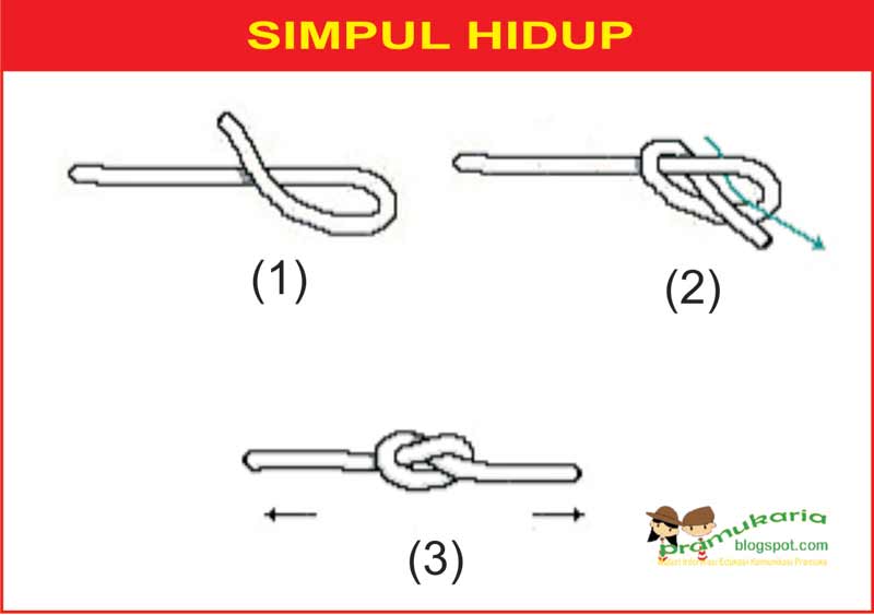 Detail Belajar Simpul Tali Temali Nomer 14