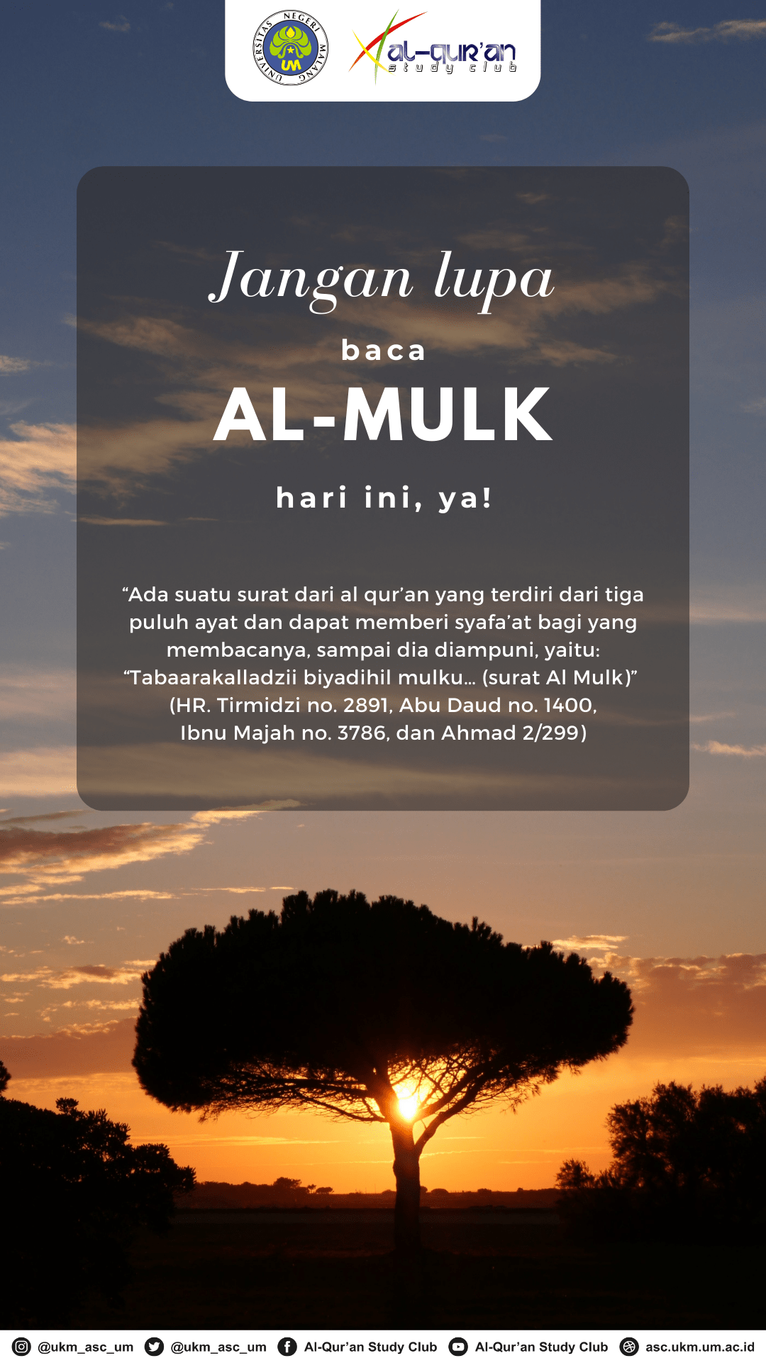 Detail Belajar Surat Al Mulk Nomer 56