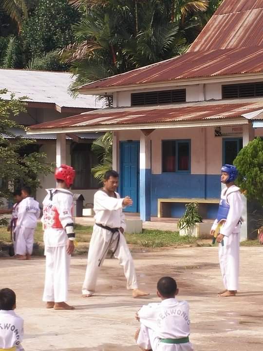 Belajar Taekwondo Sendiri Di Rumah - KibrisPDR