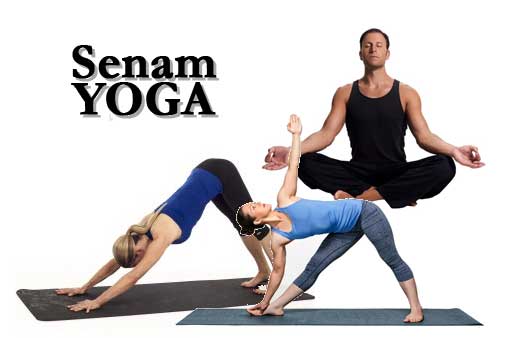 Detail Belajar Yoga Sendiri Di Rumah Nomer 35