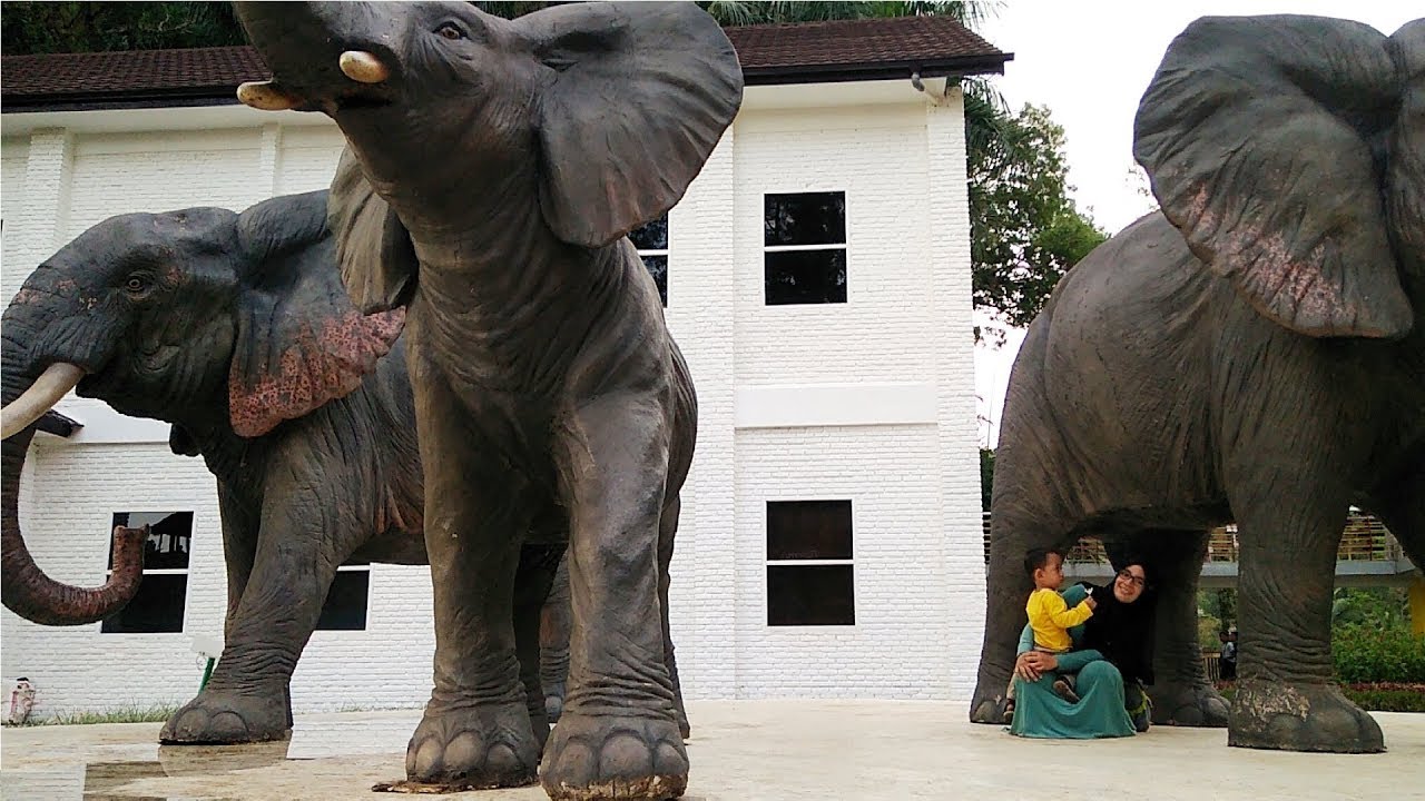 Detail Belalai Gajah Yang Panjang Nomer 16