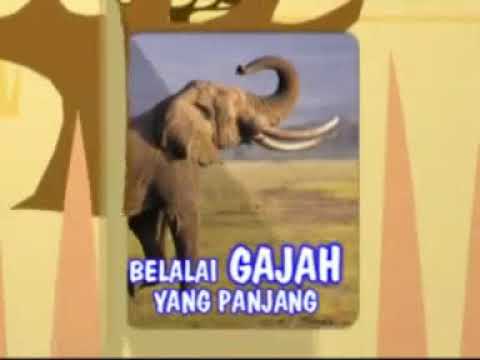 Detail Belalai Gajah Yang Panjang Nomer 5
