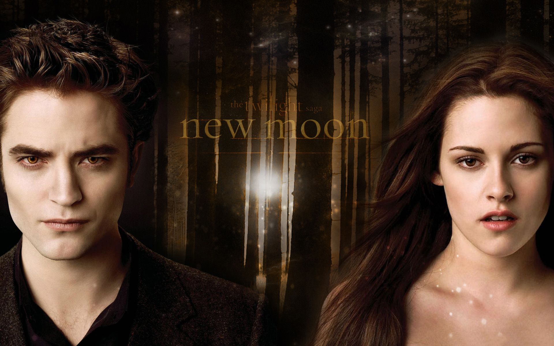 Detail Bella Swan Dan Edward Cullen Nomer 12