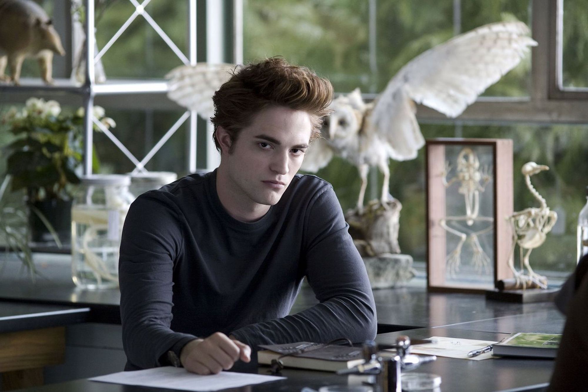 Detail Bella Swan Dan Edward Cullen Nomer 26