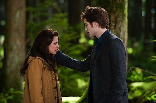 Detail Bella Swan Dan Edward Cullen Nomer 27