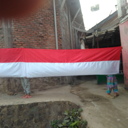 Detail Bendera Background Nomer 32