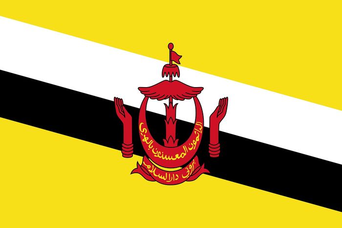Detail Bendera Bendera Asean Nomer 30
