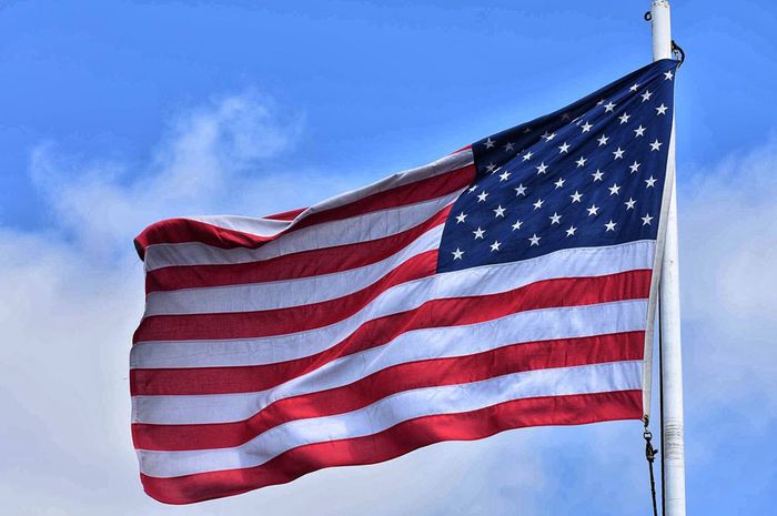 Detail Bendera Benua Amerika Nomer 41