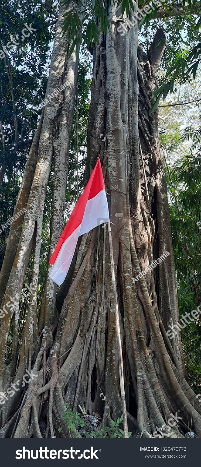 Detail Bendera Berkibar Nomer 43