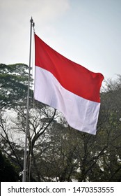 Detail Bendera Berkibar Indonesia Nomer 3