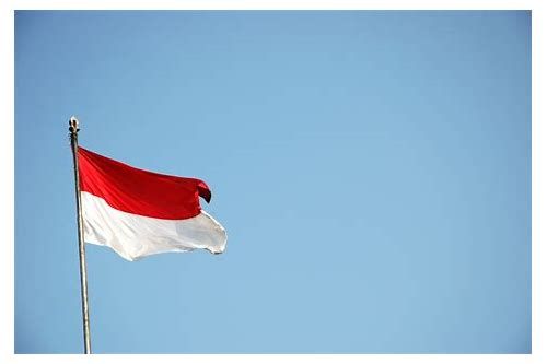 Detail Bendera Berkibar Indonesia Nomer 6