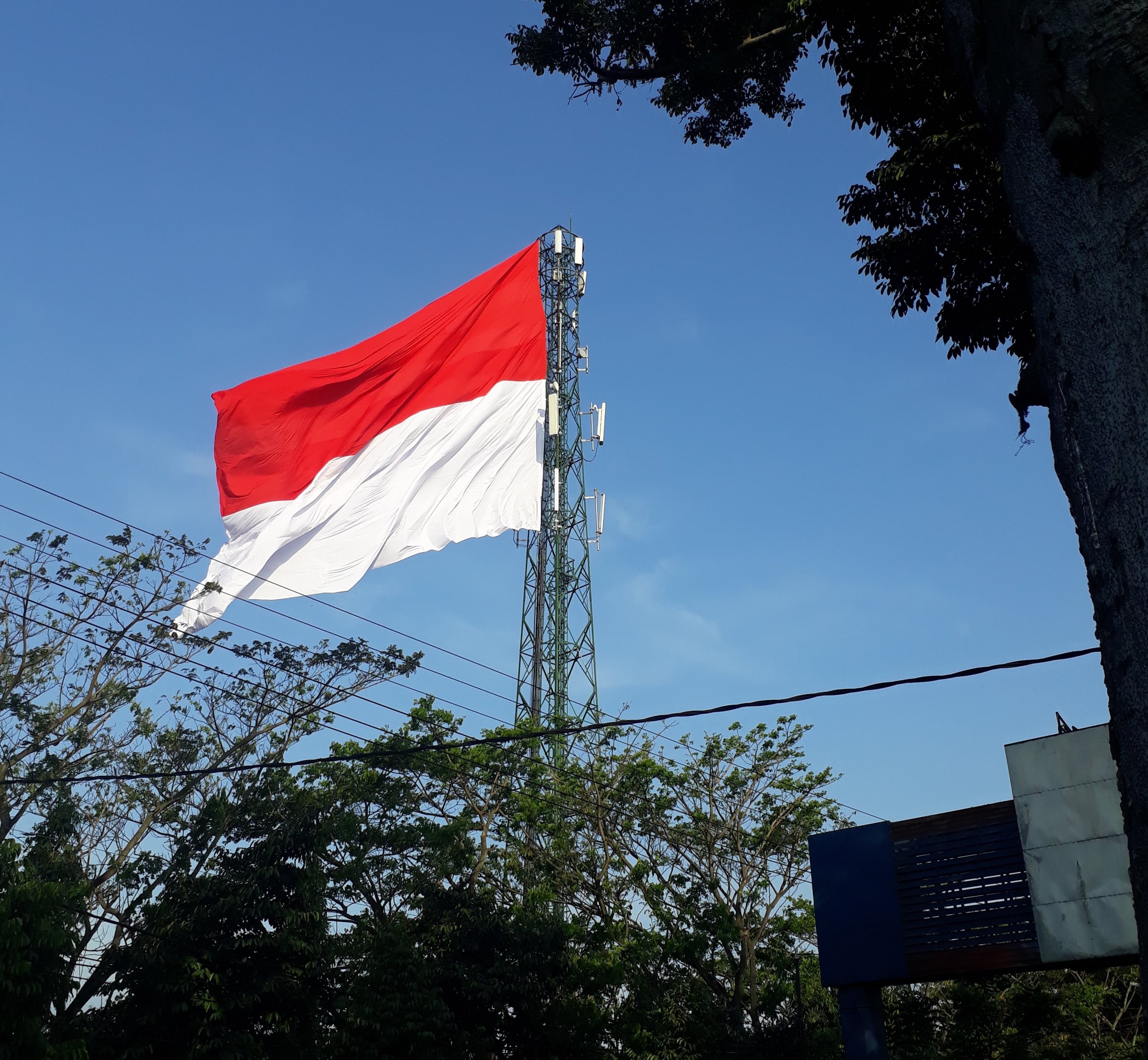 Detail Bendera Berkibar Merah Putih Nomer 54